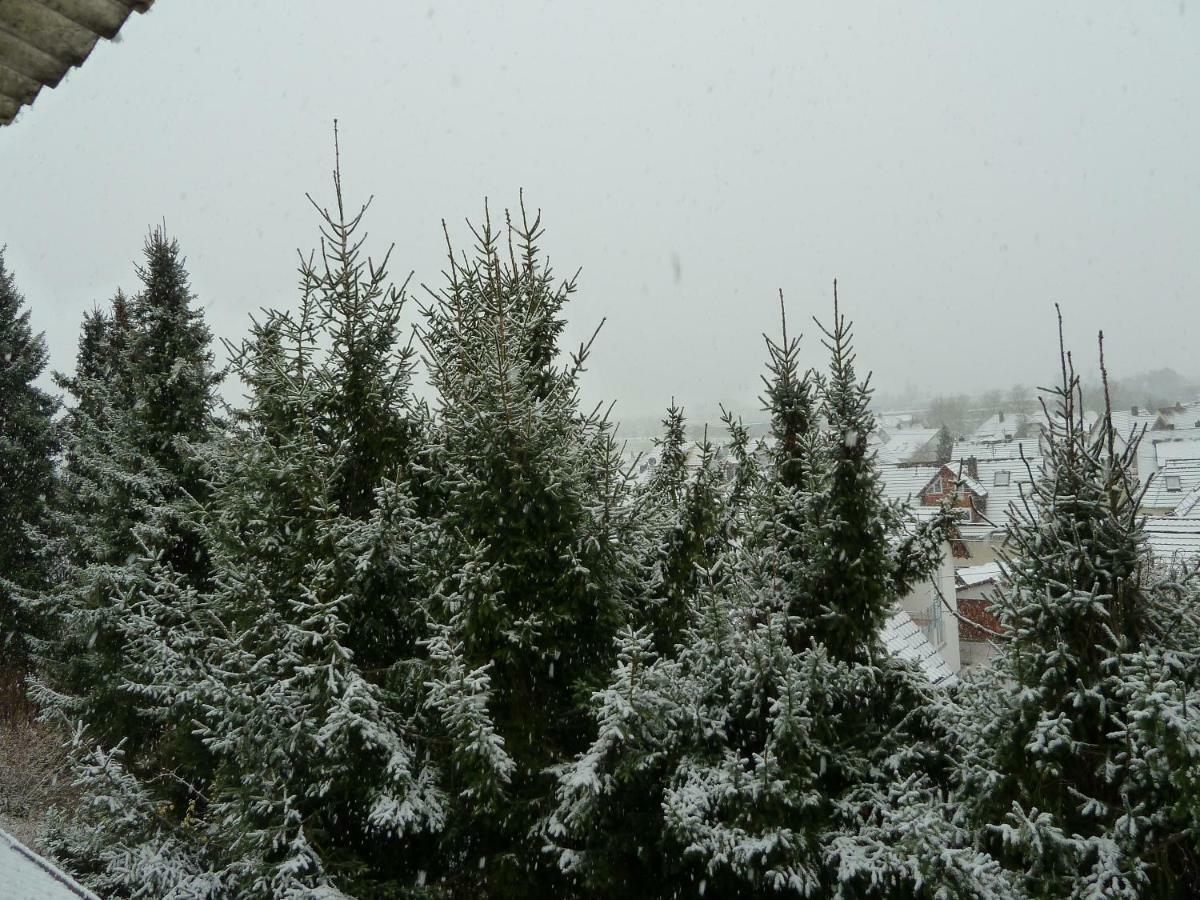 Helle 70 Qm Ferienwohnung Mit Herrlichem Blick Teningen Εξωτερικό φωτογραφία